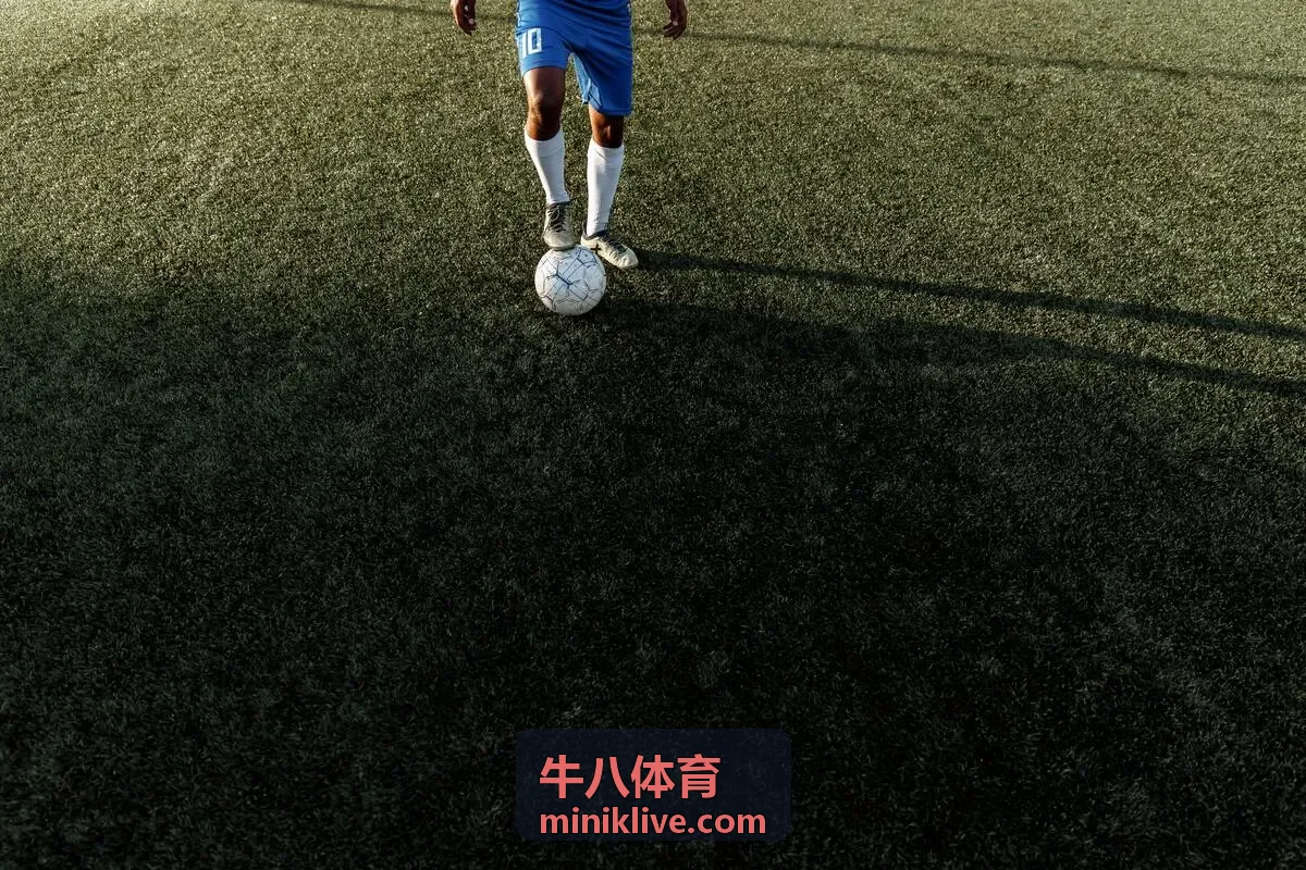 牛八体育竞技表现背景